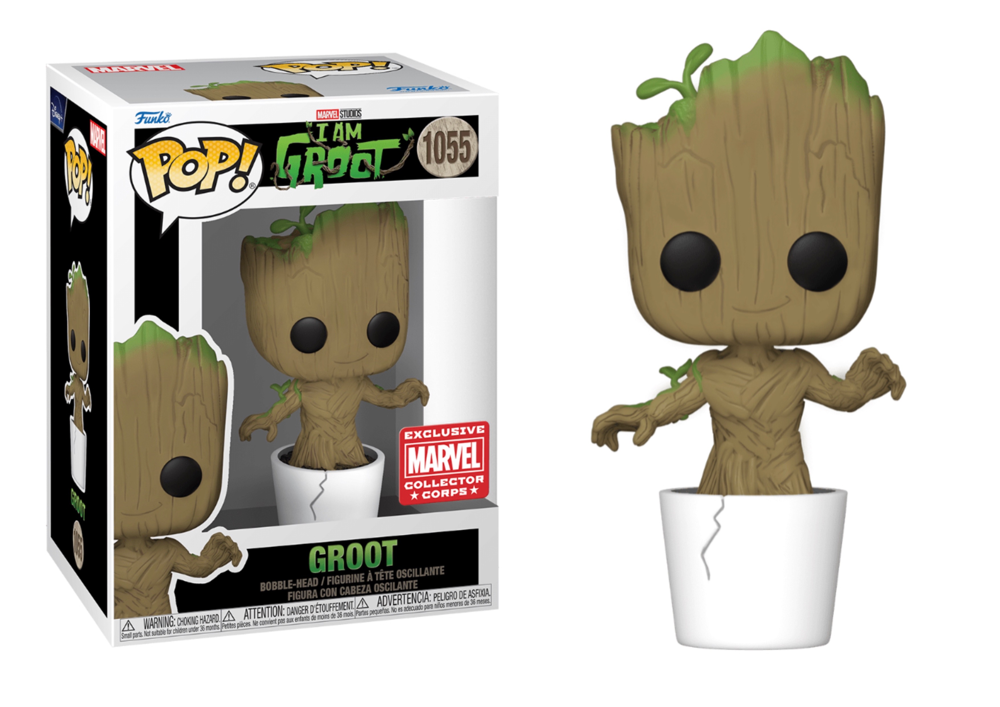 Groot