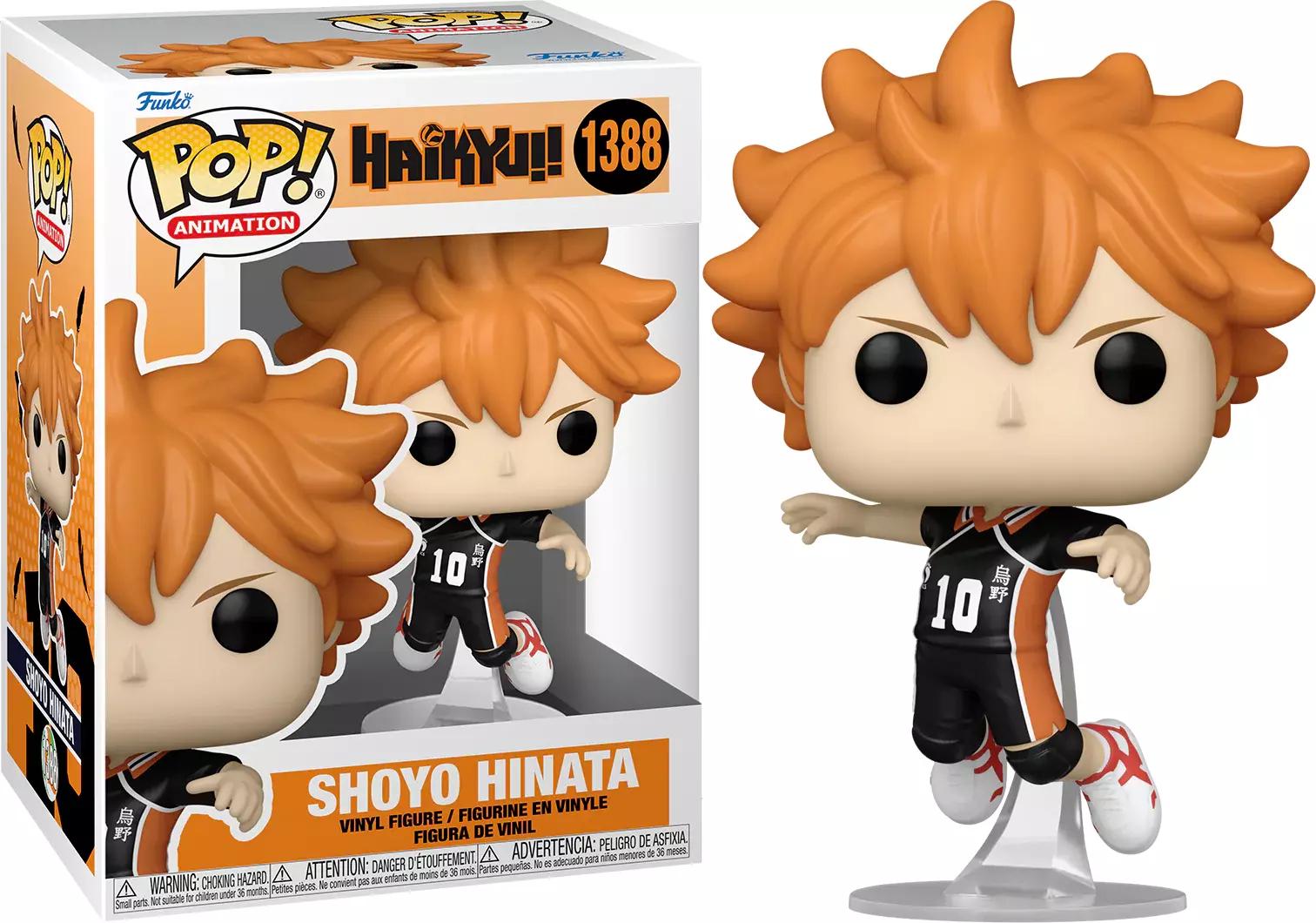 Shoyo Hinata