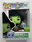 Funko Pop! The Wizard Of Oz Wicked Witch W/ Winged Monkey 1581 2024 Summer Con